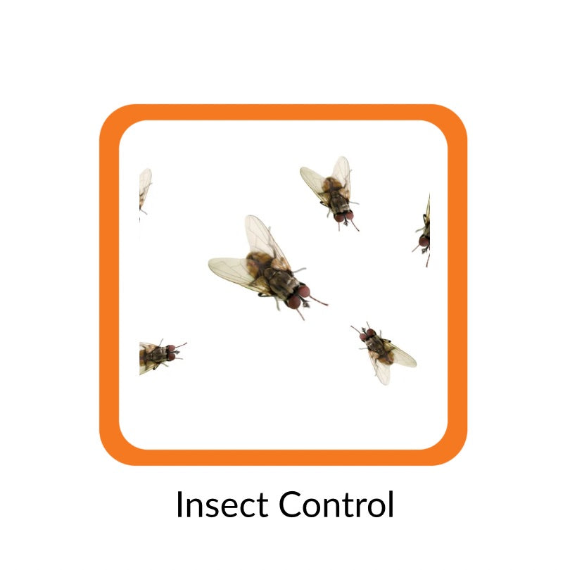 Insect Control